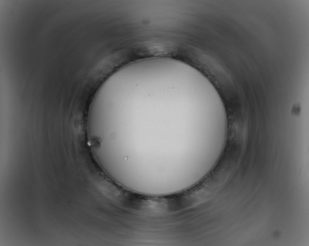 X0000101460317200807071437
