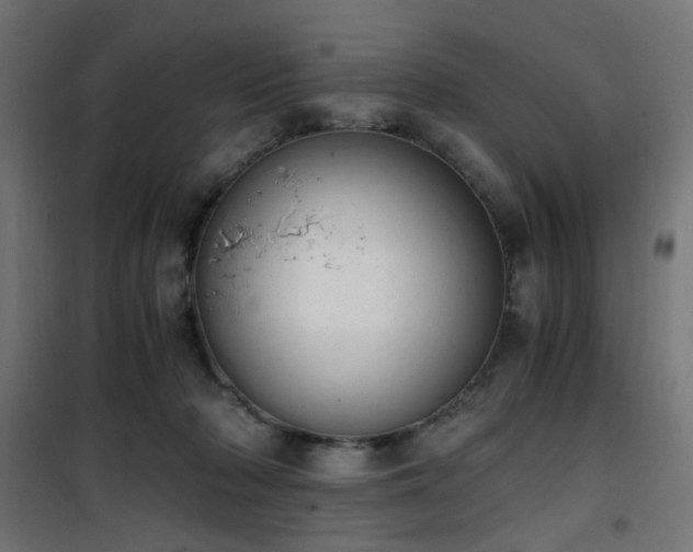 X0000101460318200807071437