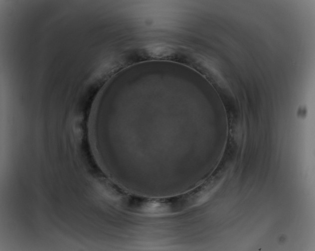 X0000101460319200807071437