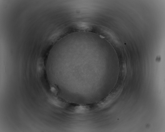X0000101460320200807071437