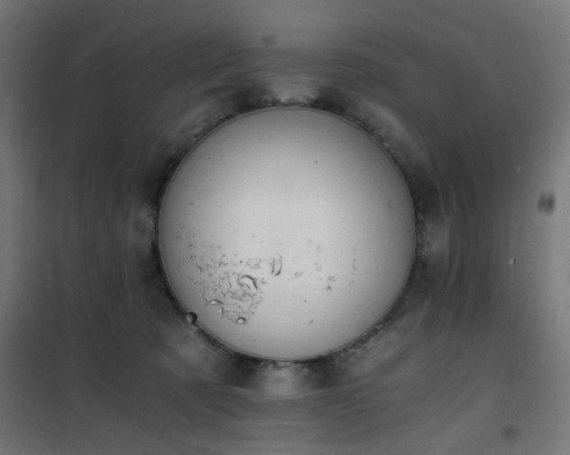 X0000101460321200807071437