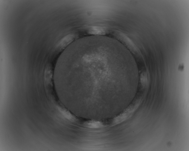 X0000101460322200807071437