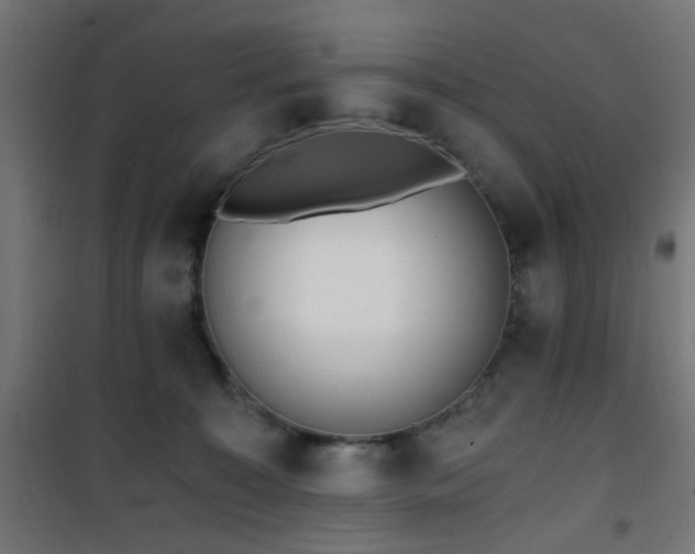 X0000101460323200807071437