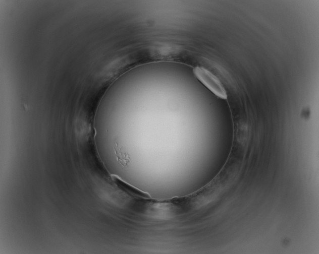 X0000101460324200807071437