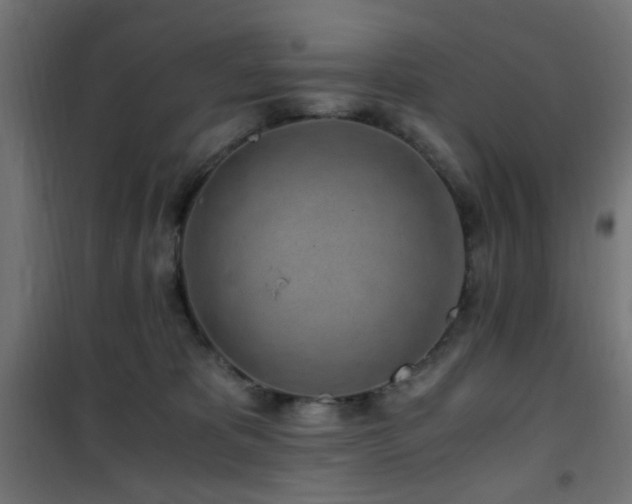X0000101460325200807071437