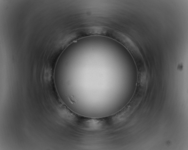 X0000101460326200807071437