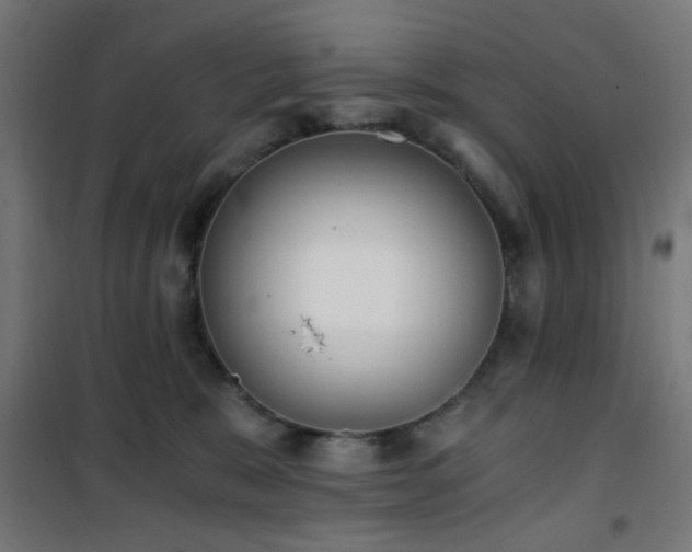X0000101460327200807071437