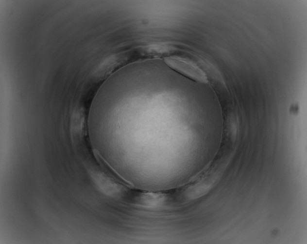 X0000101460328200807071437