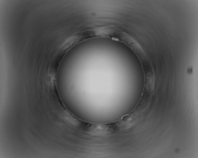 X0000101460329200807071437