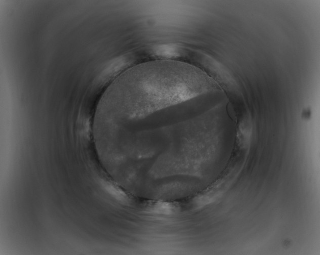 X0000101460330200807071437