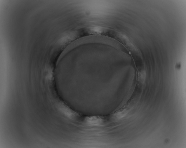 X0000101460331200807071437