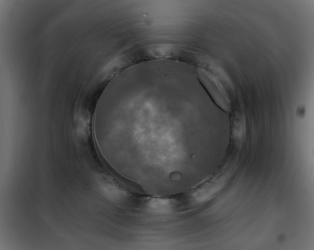 X0000101460332200807071437