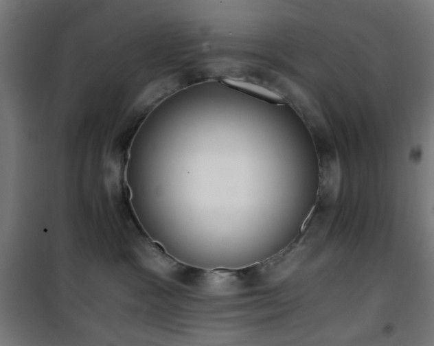 X0000101460333200807071437