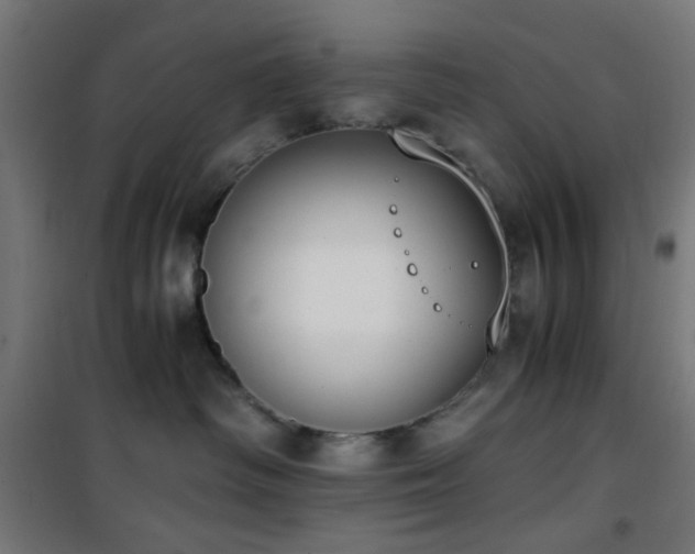 X0000101460334200807071437