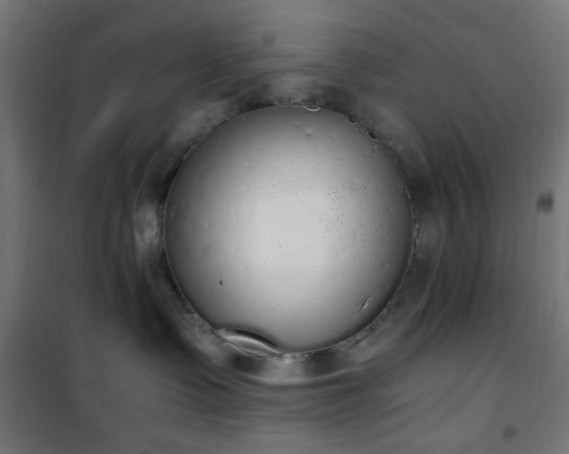 X0000101460335200807071437