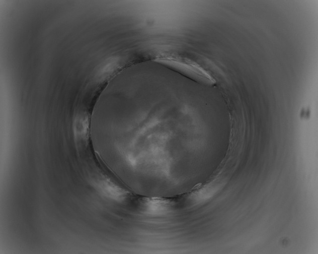 X0000101460336200807071436