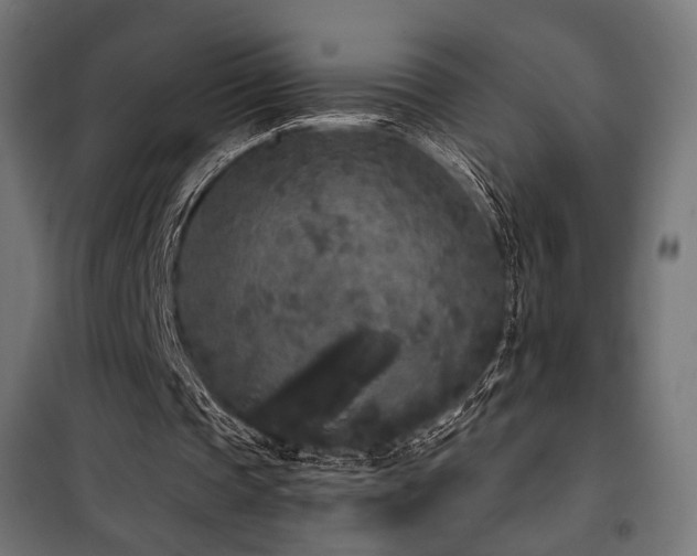 X0000101460337200807071436