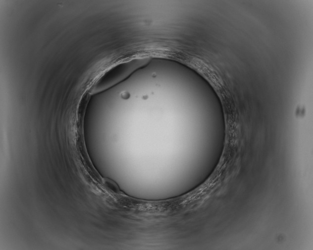 X0000101460338200807071436