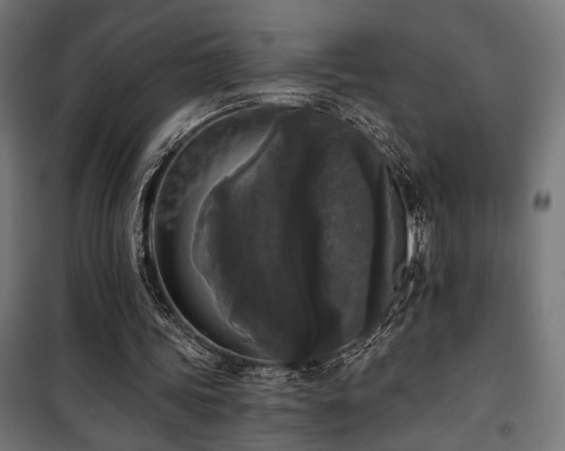 X0000101460339200807071436