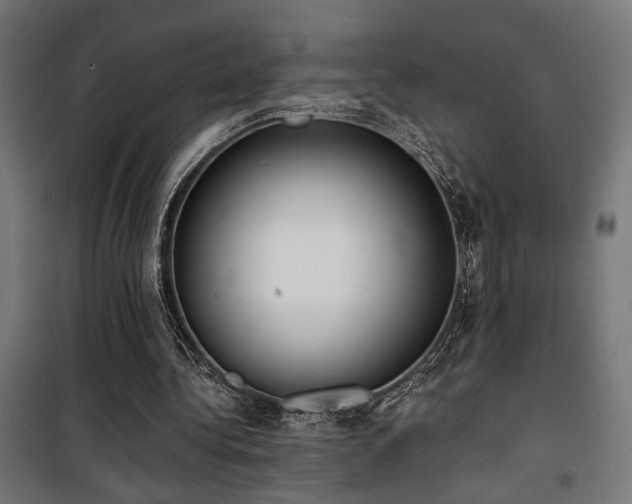 X0000101460340200807071436