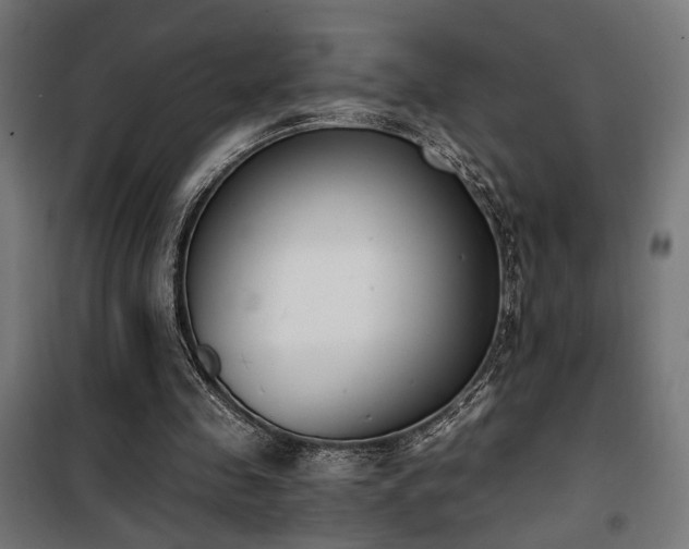 X0000101460341200807071436
