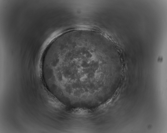 X0000101460343200807071436