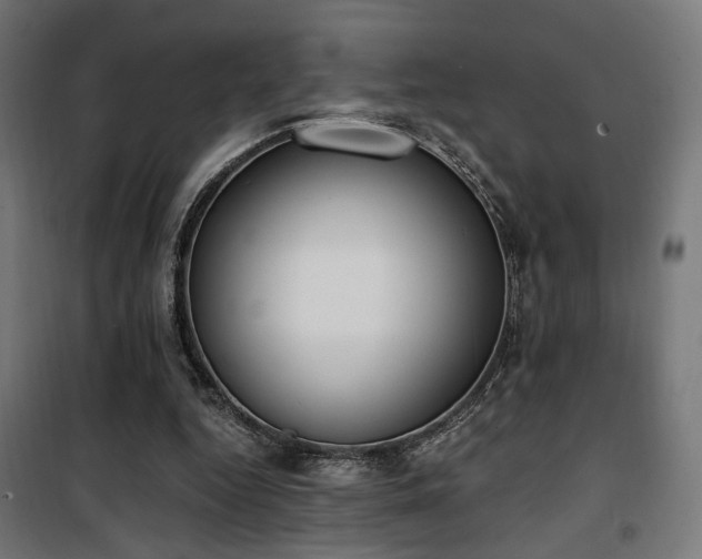 X0000101460344200807071436