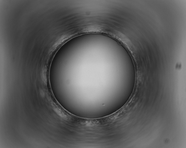X0000101460345200807071436