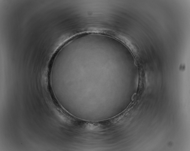 X0000101460346200807071436