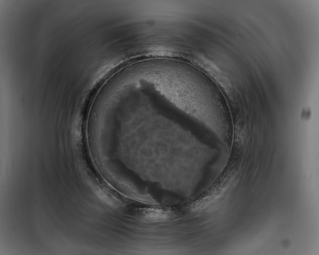 X0000101460347200807071436