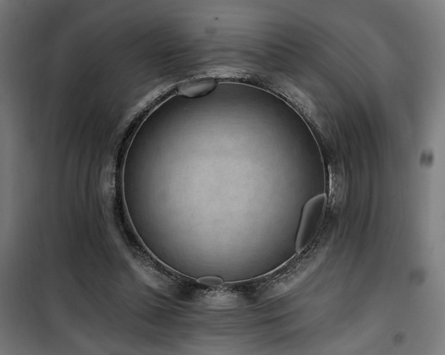 X0000101460348200807071436