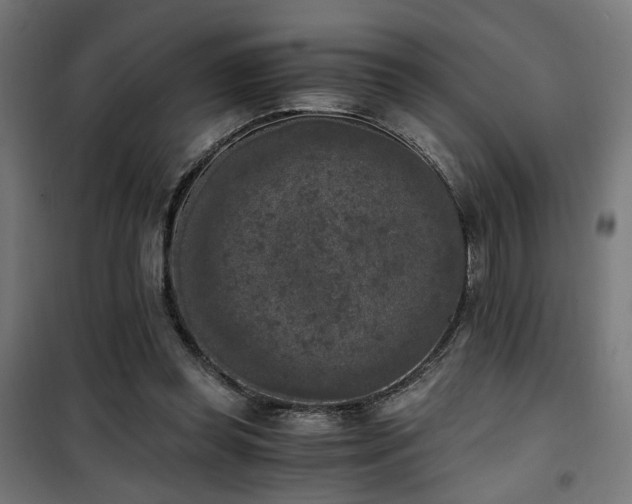 X0000101460349200807071436
