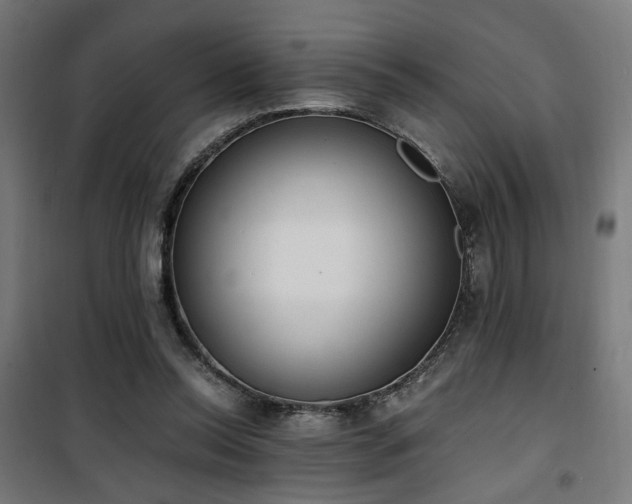 X0000101460350200807071436