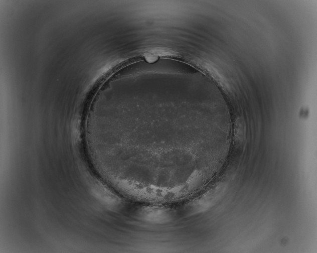 X0000101460351200807071436