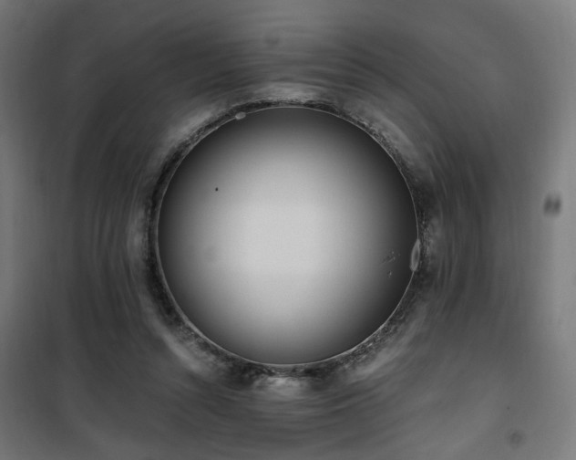 X0000101460352200807071436