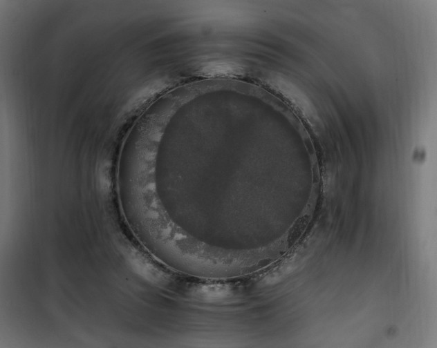 X0000101460353200807071436