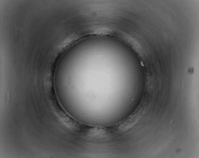 X0000101460354200807071436