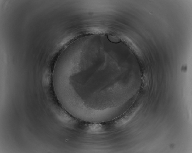 X0000101460355200807071436