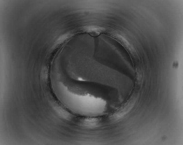 X0000101460357200807071436