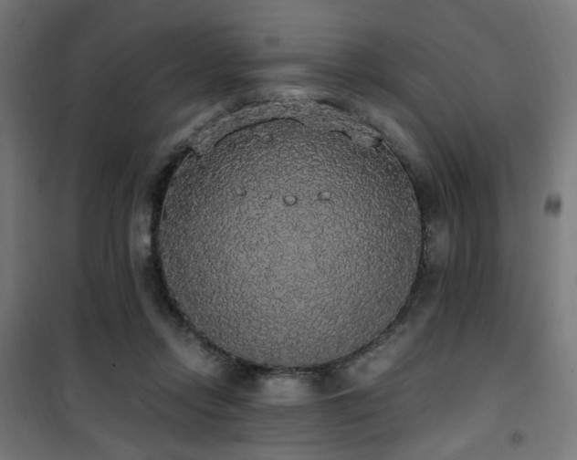 X0000101460358200807071436