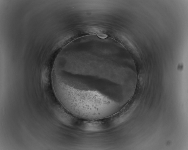 X0000101460359200807071436