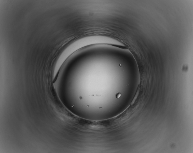 X0000101460360200807071436