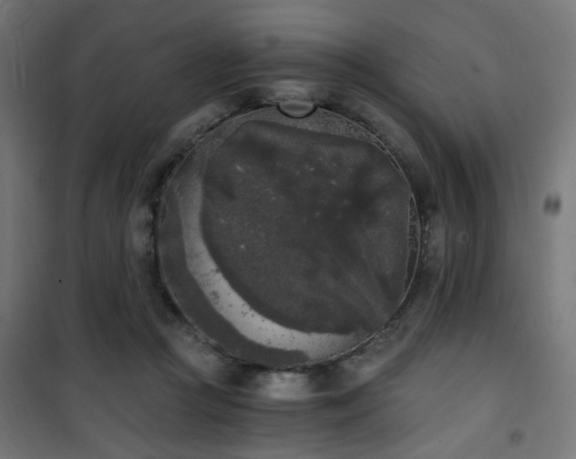 X0000101460361200807071436