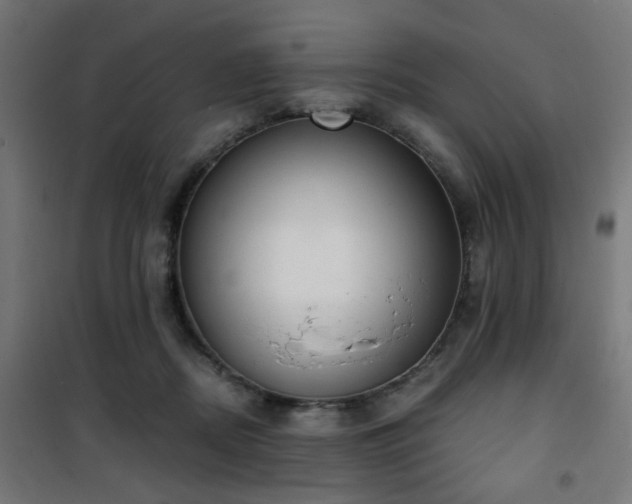 X0000101460362200807071436