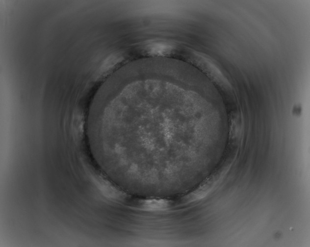 X0000101460363200807071436