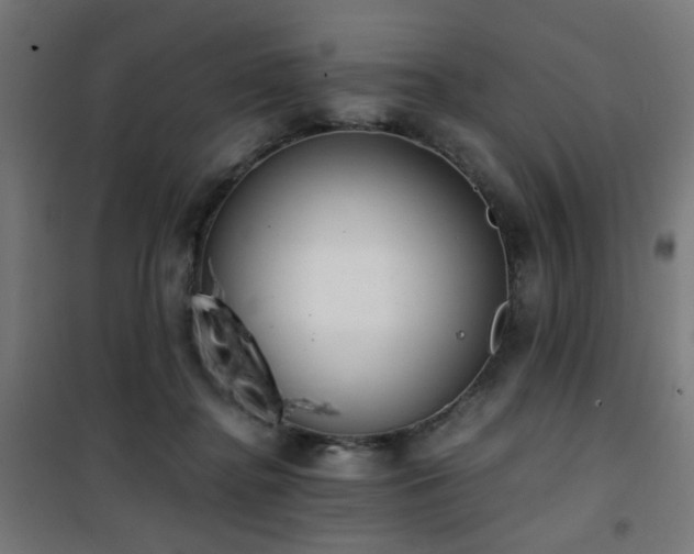 X0000101460364200807071436