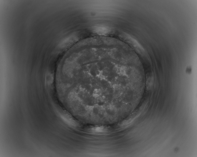X0000101460365200807071436