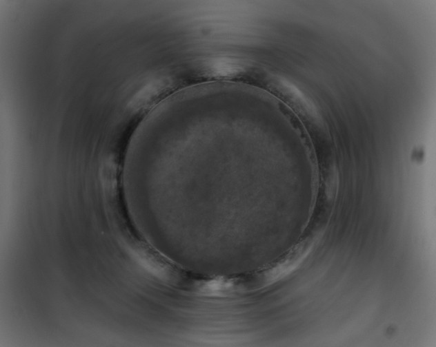X0000101460366200807071436