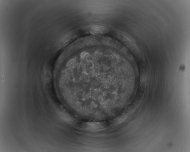 X0000101460367200807071436