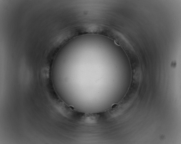 X0000101460368200807071436